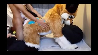 FreyaShibe – Doggy Fun