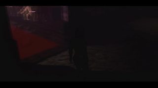 Spotlight. – A furry encounter