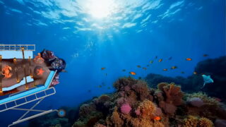 World of Warcraft UnderwaterSex Scenes Restrained